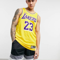 Nike NBA Los Angeles Lakers Lebron James Icon Edition Swingman Jersey